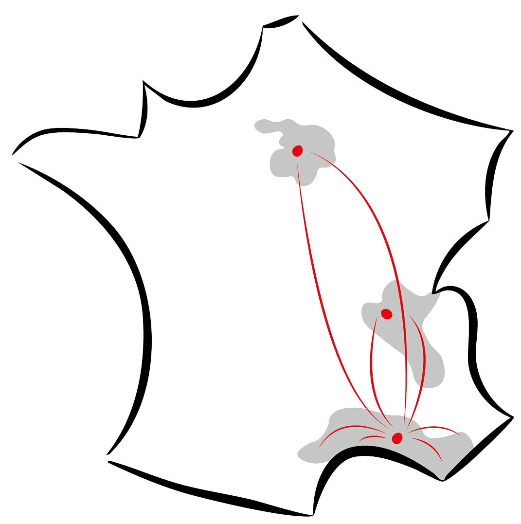 Carte des implantations chez STC (Cavaillon, Lyon et Paris)